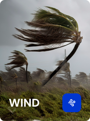 Wind Damage PPA