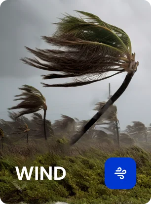 Wind Damage PPA