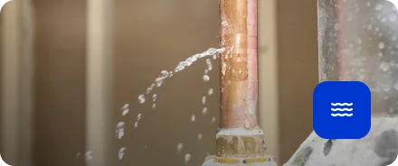 Water Damage